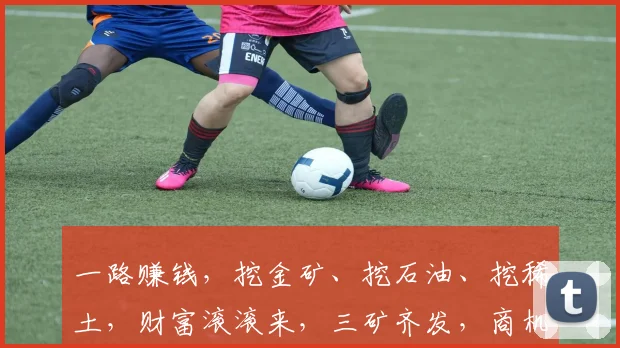一路赚钱，挖金矿、挖石油、挖稀土，财富滚滚来，三矿齐发，商机无限
