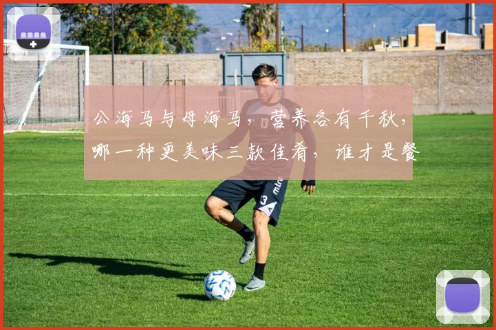 公海马与母海马，营养各有千秋，哪一种更美味三款佳肴，谁才是餐桌宠儿
