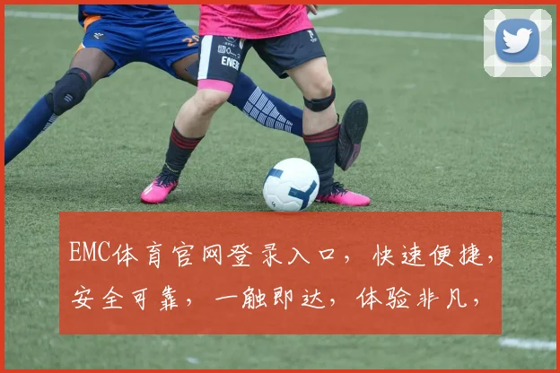 EMC体育官网登录入口，快速便捷，安全可靠，一触即达，体验非凡，三大优势，不容错过，立即登录