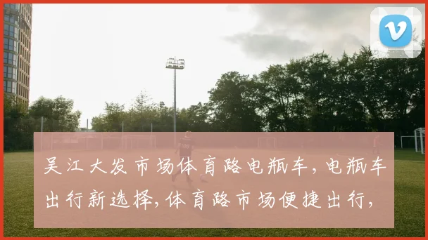 吴江大发市场体育路电瓶车,电瓶车出行新选择,体育路市场便捷出行,轻松生活体验