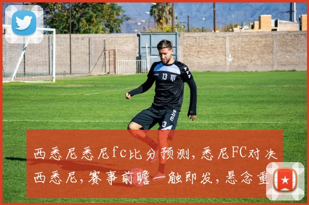 西悉尼悉尼fc比分预测,悉尼FC对决西悉尼,赛事前瞻一触即发,悬念重重