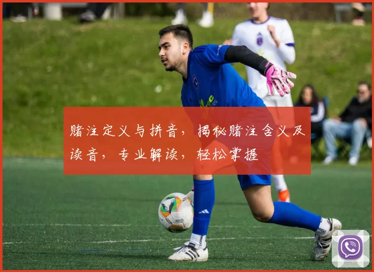 赌注定义与拼音，揭秘赌注含义及读音，专业解读，轻松掌握